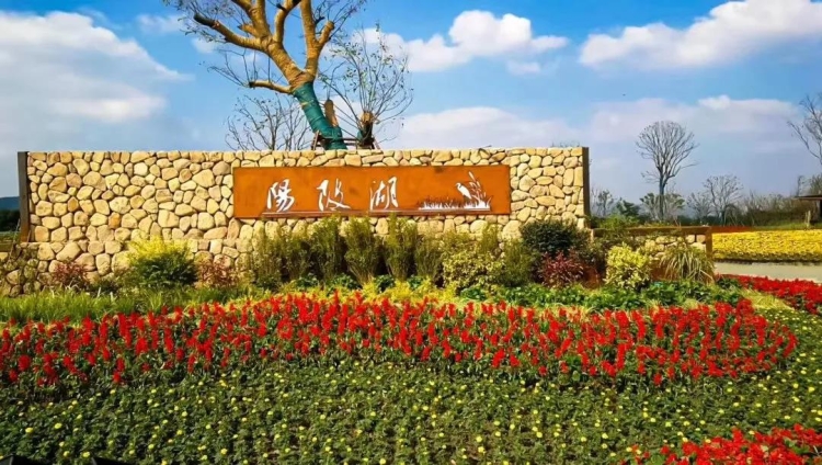 微信图片_20201027170408.jpg