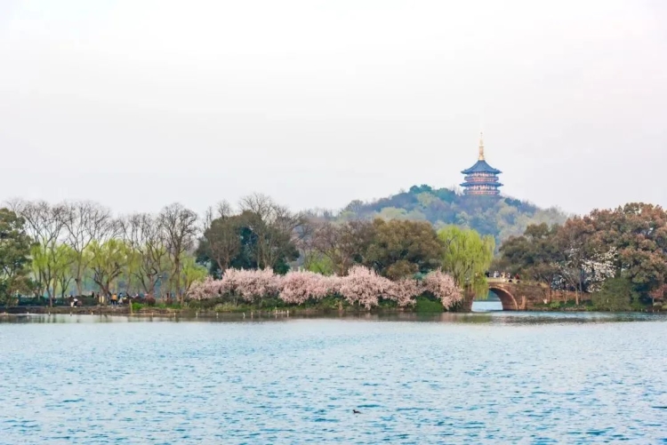 微信图片_20230301153839.jpg 微信图片_20230301153839.jpg