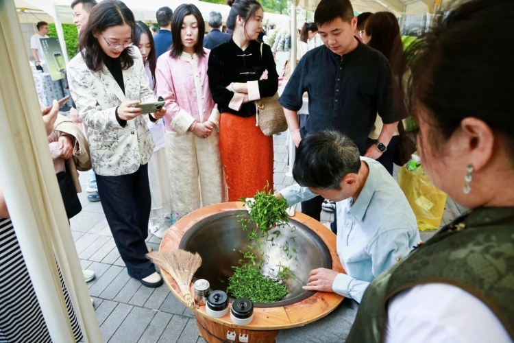微信图片_20250424101851.jpg 微信图片_20250424101851.jpg